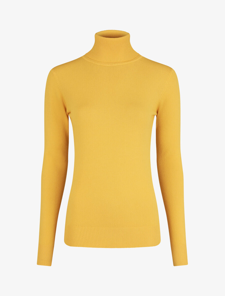 Pull fin en cachemire mélangée à col roulé - Jaune - 1