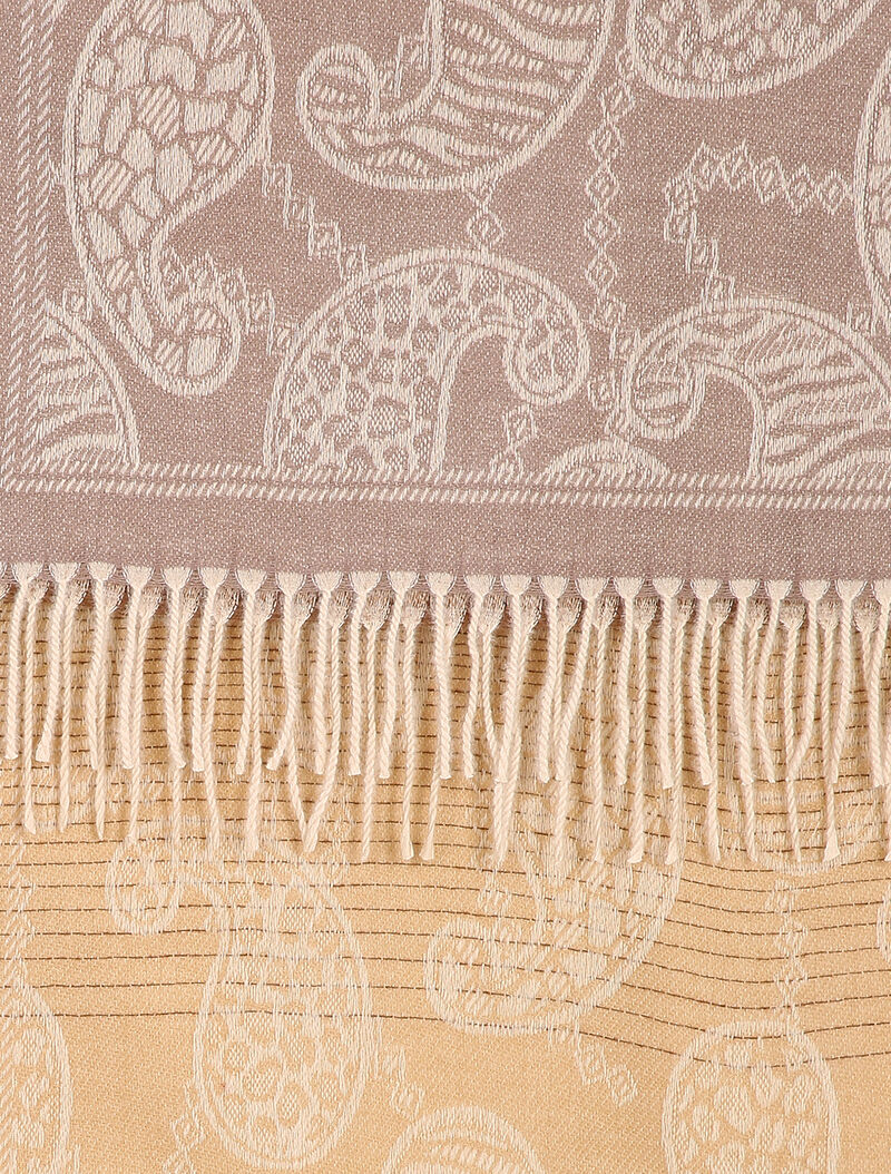 Echarpe douce à imprimé cachemire et franges - Marron - 2